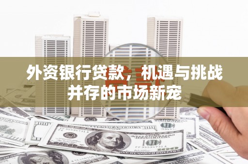 班玛外资银行贷款，机遇与挑战并存的市场新宠