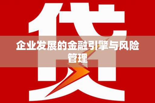 班玛企业发展的金融引擎与风险管理