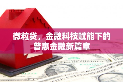 班玛微粒贷，金融科技赋能下的普惠金融新篇章