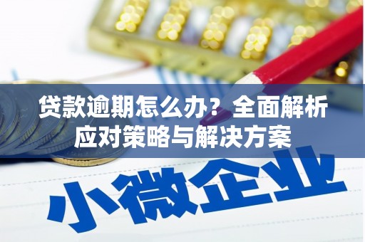 班玛贷款逾期怎么办？全面解析应对策略与解决方案