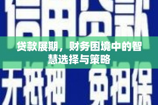 班玛贷款展期，财务困境中的智慧选择与策略