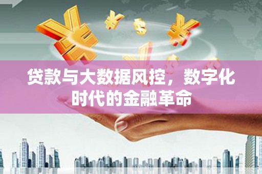 班玛贷款与大数据风控，数字化时代的金融革命