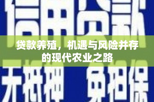 班玛贷款养殖，机遇与风险并存的现代农业之路