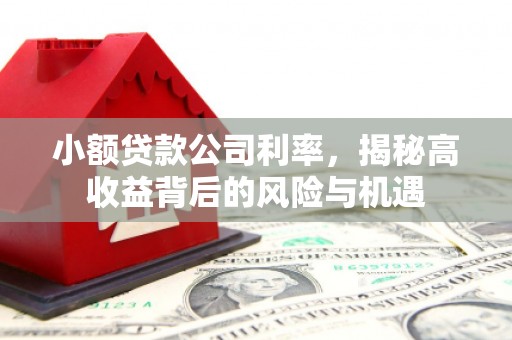 班玛小额贷款公司利率，揭秘高收益背后的风险与机遇