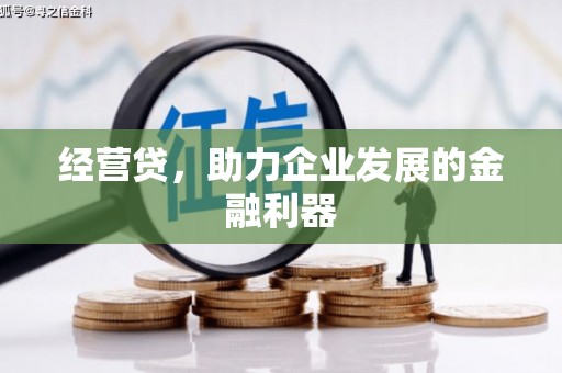 班玛经营贷，助力企业发展的金融利器
