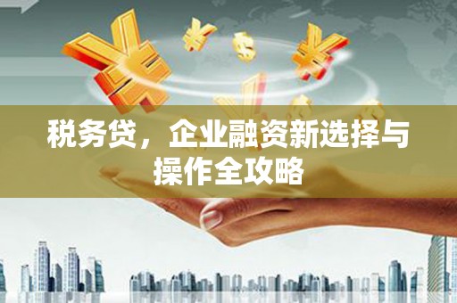 班玛税务贷，企业融资新选择与操作全攻略