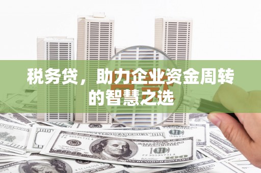 班玛税务贷，助力企业资金周转的智慧之选