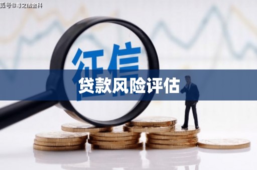 班玛贷款风险评估