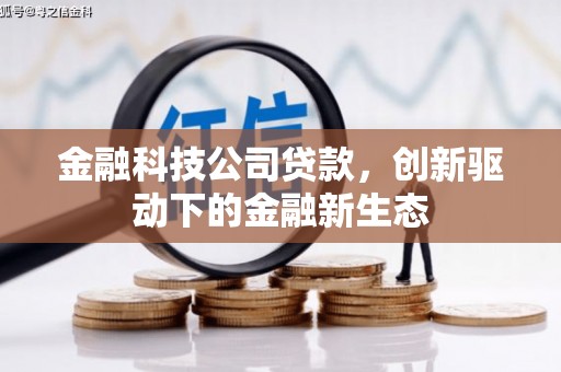 班玛金融科技公司贷款，创新驱动下的金融新生态