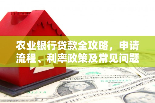 班玛农业银行贷款全攻略，申请流程、利率政策及常见问题解析