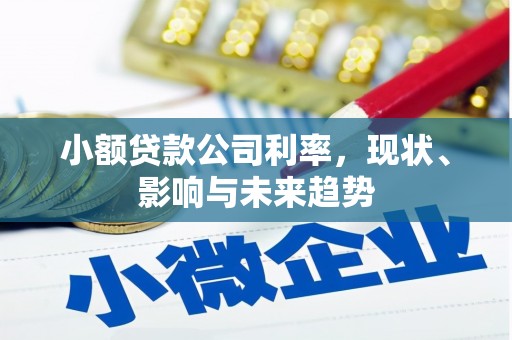班玛小额贷款公司利率，现状、影响与未来趋势