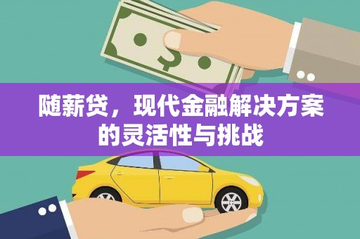 班玛随薪贷，现代金融解决方案的灵活性与挑战