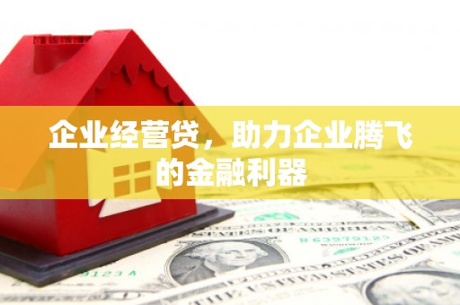班玛企业经营贷，助力企业腾飞的金融利器