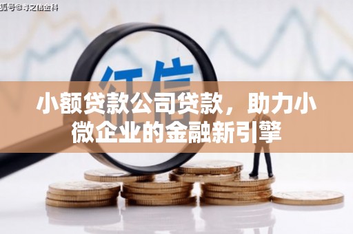 班玛小额贷款公司贷款，助力小微企业的金融新引擎