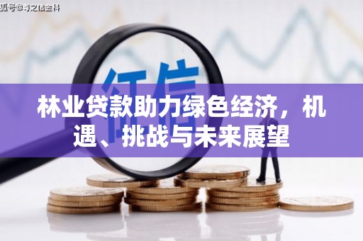 班玛林业贷款助力绿色经济，机遇、挑战与未来展望