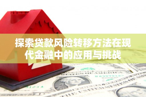 班玛探索贷款风险转移方法在现代金融中的应用与挑战
