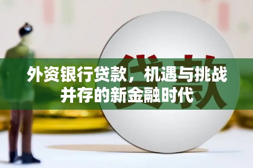 班玛外资银行贷款，机遇与挑战并存的新金融时代
