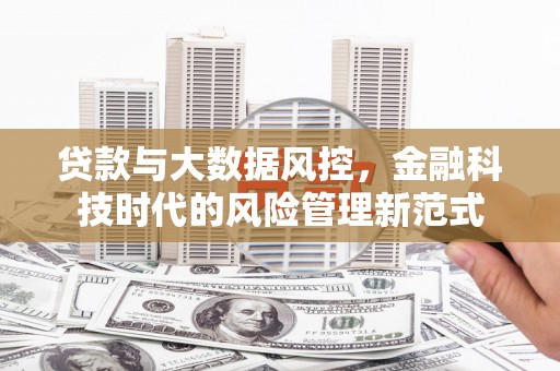 班玛贷款与大数据风控，金融科技时代的风险管理新范式