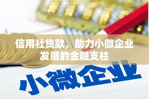 班玛信用社贷款，助力小微企业发展的金融支柱