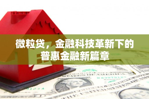 班玛微粒贷，金融科技革新下的普惠金融新篇章