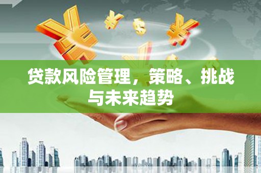 班玛贷款风险管理，策略、挑战与未来趋势