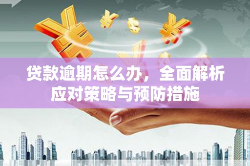 班玛贷款逾期怎么办，全面解析应对策略与预防措施