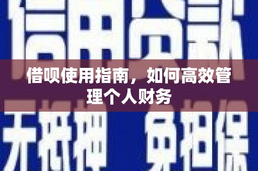 班玛借呗使用指南，如何高效管理个人财务