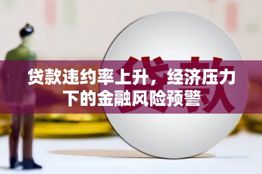 班玛贷款违约率上升，经济压力下的金融风险预警