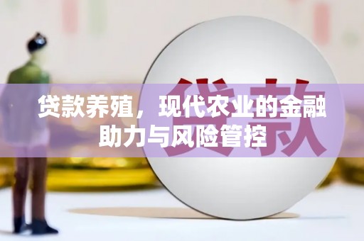 班玛贷款养殖，现代农业的金融助力与风险管控