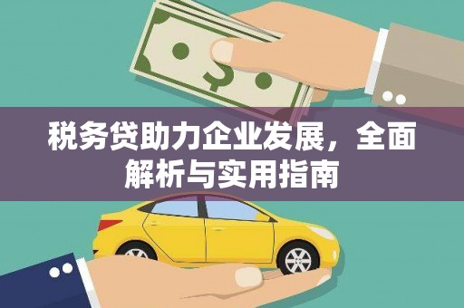 班玛税务贷助力企业发展，全面解析与实用指南