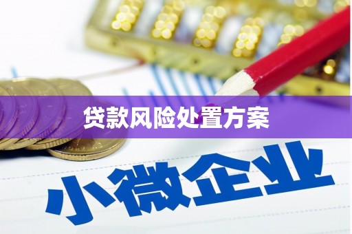 班玛贷款风险处置方案