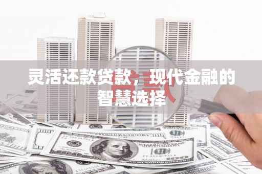 班玛灵活还款贷款，现代金融的智慧选择