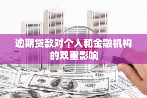 班玛逾期贷款对个人和金融机构的双重影响