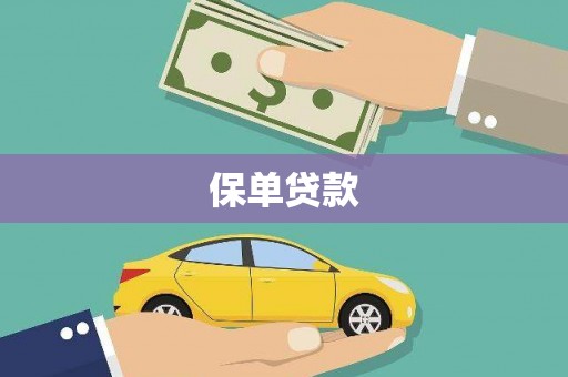 班玛保单贷款