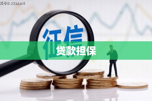 班玛贷款担保
