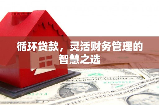 班玛循环贷款，灵活财务管理的智慧之选