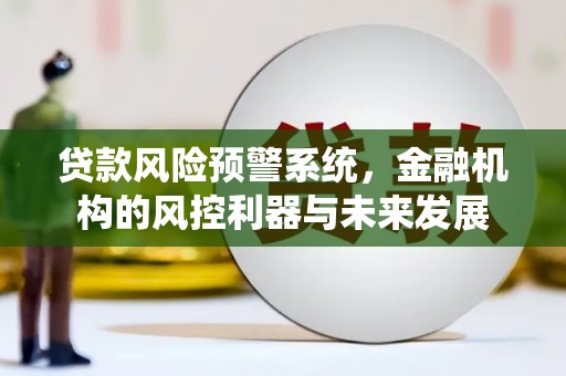 班玛贷款风险预警系统，金融机构的风控利器与未来发展