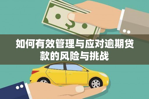 班玛如何有效管理与应对逾期贷款的风险与挑战