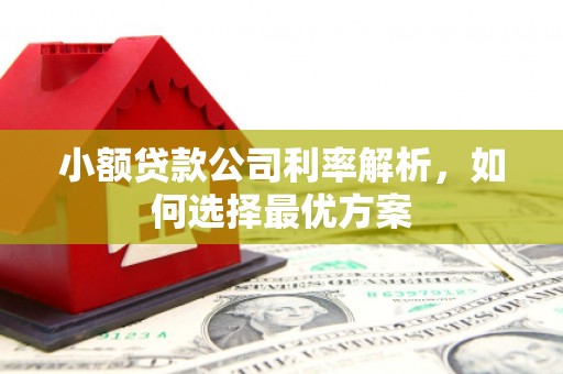 班玛小额贷款公司利率解析，如何选择最优方案