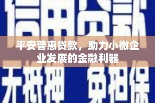 班玛平安普惠贷款，助力小微企业发展的金融利器