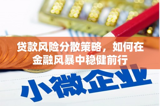 班玛贷款风险分散策略，如何在金融风暴中稳健前行