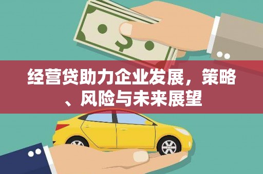 班玛经营贷助力企业发展，策略、风险与未来展望