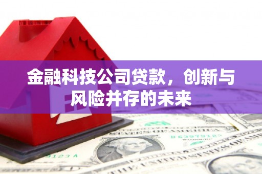 班玛金融科技公司贷款，创新与风险并存的未来