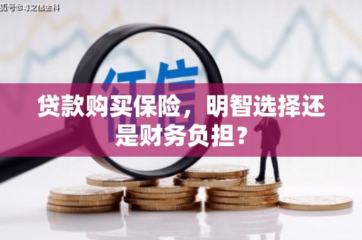 班玛贷款购买保险，明智选择还是财务负担？