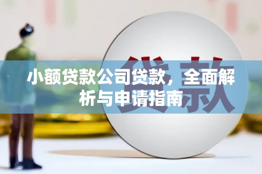 班玛小额贷款公司贷款，全面解析与申请指南