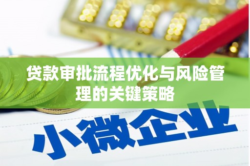 班玛贷款审批流程优化与风险管理的关键策略