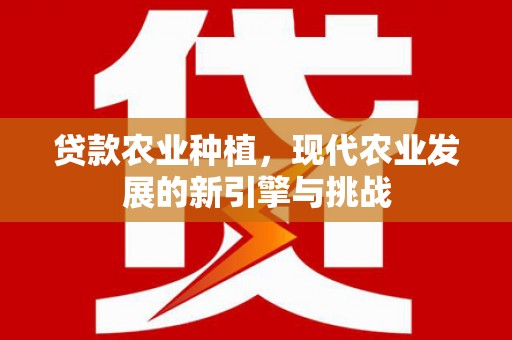 班玛贷款农业种植，现代农业发展的新引擎与挑战