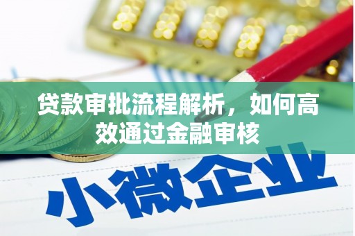 班玛贷款审批流程解析，如何高效通过金融审核