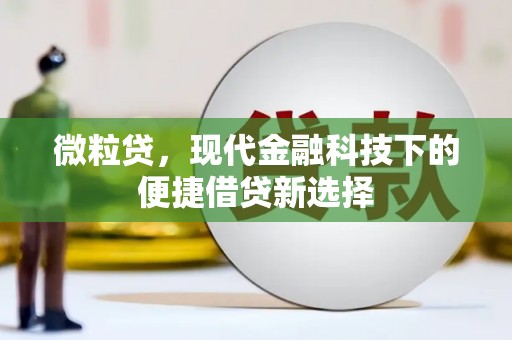 班玛微粒贷，现代金融科技下的便捷借贷新选择