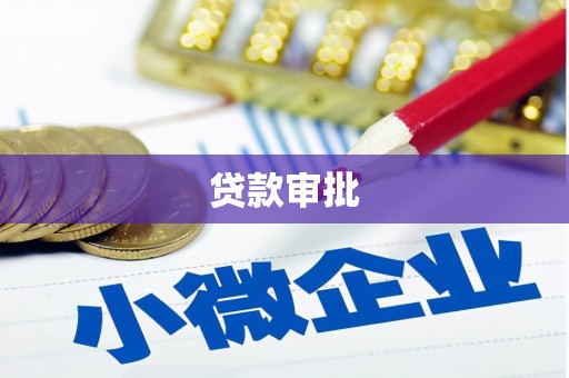 班玛贷款审批